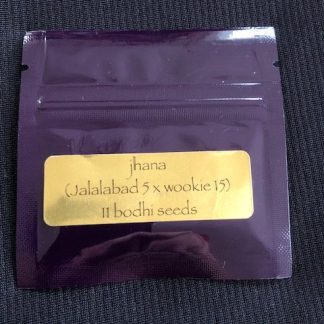 Jhana <br> (Jalalabad Star 5 x Wookie 15)