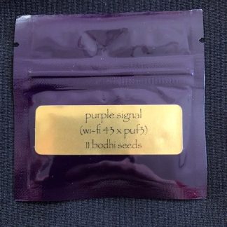 Purple Signal <br> (White Fire OG 43 x Purple Unicorn f3)