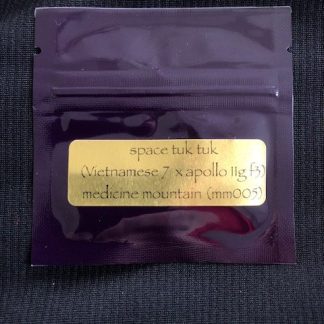 Space Tuk Tuk <br> (Vietnamese 7 x Apollo 11 f3)