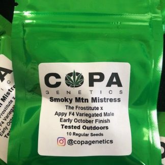 Smokey Mountain Mistress <br> (The Frostitute X Appy F4 Variegated Male)