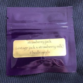 Strawberry Jack <br> (Vintage Jack Herer x Strawberry Milk)