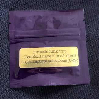 Jurassic Funk <br> (Bandaid Haze 7 x Artifact A1 Afghani *Dino)