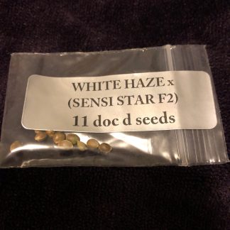 *FREEBIE LISTING* White Haze X (Sensi Star F2)