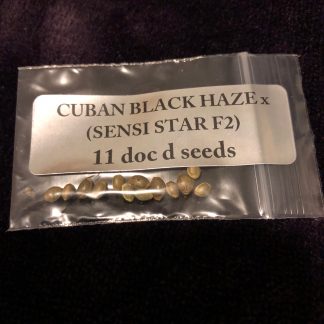 *FREEBIE LISTING* Cuban Black Haze X (Sensi Star F2)