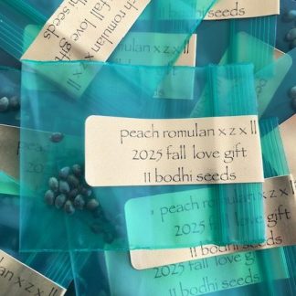 *Freebie Listing* Peach Romulan x (Zkittlez x Lavender Lemonade)