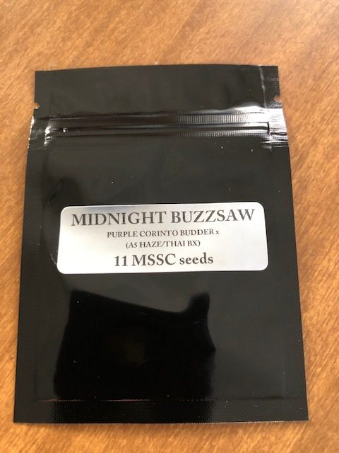 Midnight Buzzsaw <br> Purple Corinto Budder x (A5 Haze / Thai BX)
