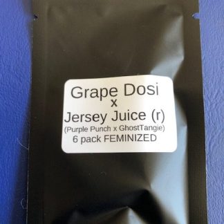 Grape Dosi X Jersey Juice (r) (Purple Punch X GhostTangie)