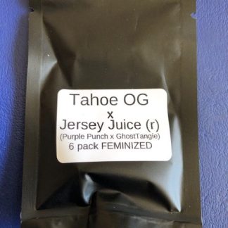 Tahoe OG X Jersey Juice (r) (Purple Punch X GhostTangie)