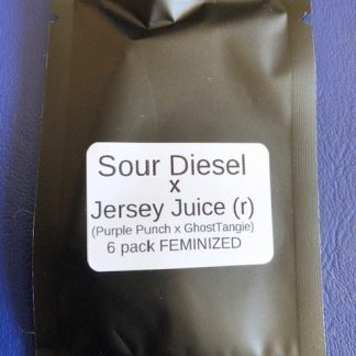 Sour Diesel X Jersey Juice (r) (Purple Punch X GhostTangie)