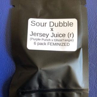 Sour Dubble X Jersey Juice (r) (Purple Punch X GhostTangie)