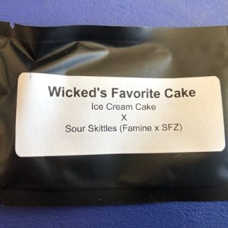 Wicked's Favorite Cake <br> (Ice Cream Cake x SS)