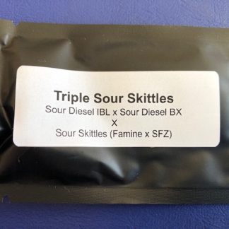 Triple Sour Skittles <br> (Sour D ibl x Sour D bx) x Sour Skittles