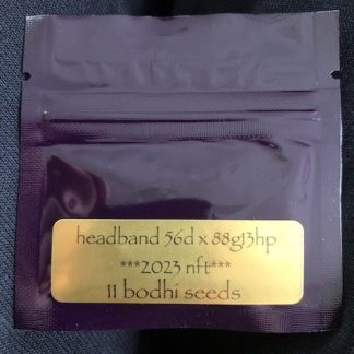 headband 56d x 88g13/hp <br> (2023 nft)