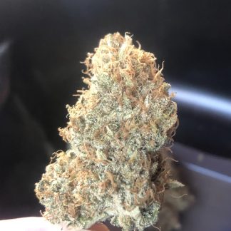 Orange Star <br> (Aeric's 1977 Cali Orange x Starfighter F4)