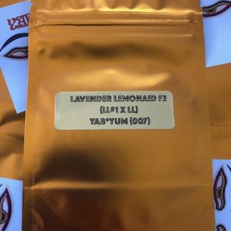 Lavender Lemonaid F2