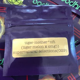 Tiger Mother <br> (Tiger Melon X OMG)