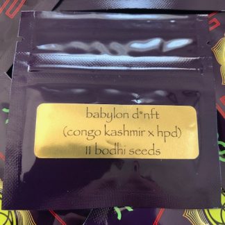 Babylon D <br> (Congo Kashmir X hpd)