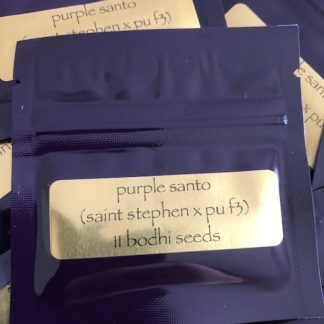 Purple Santo <br> (St. Stephen X PU F3)