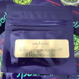 Umeboshi <br> (Killer Queen x Wookie 15)