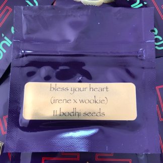 Bless Your Heart <br> (Irene X Wookie)