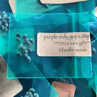 *Freebie Listing*  Purple Indy Goji x 1988 G13 Hashplant