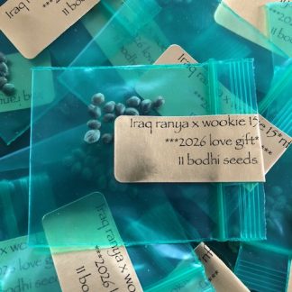 *Freebie Listing*  Iraqi Ranya x Wookie15