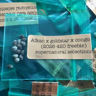 *Freebie Listing* Afkansastan x Goldstar x RC Congo Bx