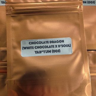 Chocolate Dragon <br> (White Chocolate x D'Soul)
