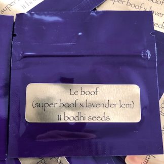 Le Boof <br>(Superboof x Lavender Lemonaid)