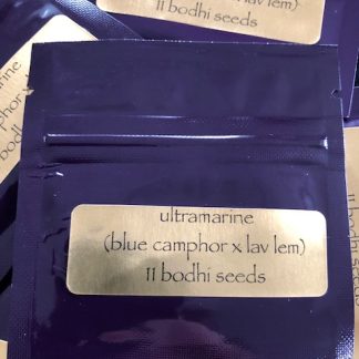 Ultramarine <br> (Blue Camphor x Lavender Lemonaid)