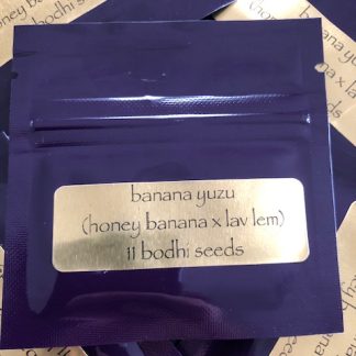 Banana Yuzu <br> (Honey Banana x Lavender Lemonaid)