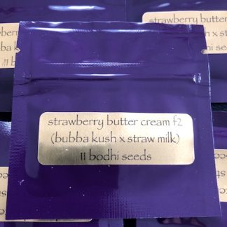 Strawberry Butter Cream F2 <br> (Bubba Kush x Strawberry Milk f2)