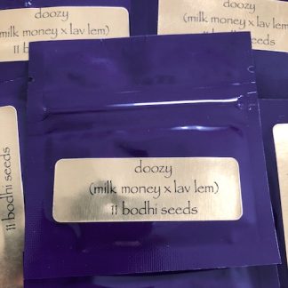 Doozy <br> (Milk Money x Lavender Lemonaid