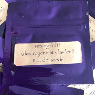 Satang (nft) <br> (destroyer emt mango pheno x lavender lemonaid)
