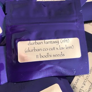 Durban Fantasy (nft) <br> (durban Colorado cut x lavender lemonaid)