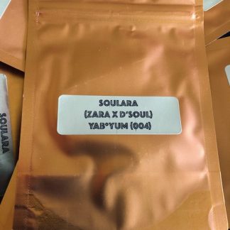Soulara <br> (zara x d’soul)