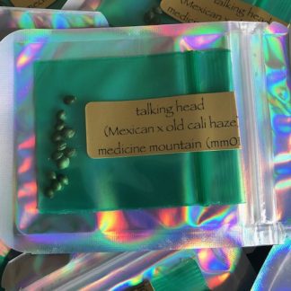 Talking Head <br> (vintage Mexican olmec pheno x old cali haze) Medicine Mountain release #012