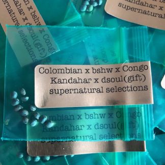 *Freebie Listing* Colombian x Big Sur Holy Weed x Congo x Kandahar x D'Soul