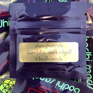 Chemghani <br> (Kandahar black x chem d x 88g13hp)