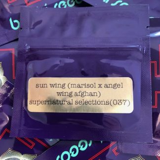 Sun Wing (Marisol x Angel Wing Afghan) Supernatural Selections 037