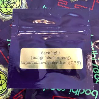 Dark Light (Congo Black x Angel Wing Afghan)  Supernatural Selections 035