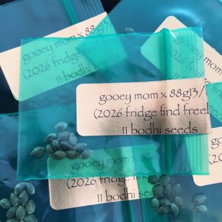 *Freebie Listing*  Gooey Mom x 1988 G13 Hashplant