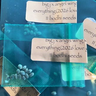 *Freebie Listing* (Big J x Angel Wing) x Everything