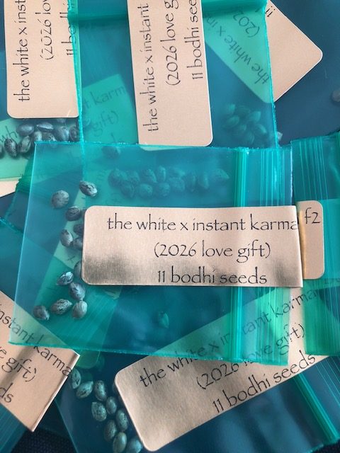 *Freebie Listing* The White x Instant Karma f2