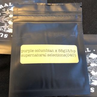 Purple Colombian x 1988 G13 Hashplant