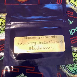 Blueberry Karma <br> (Blueberry Indica x Instant Karma)