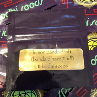Lemon Bandaid <br> (Bandaid Haze 7 x Lavender Lemonaid)