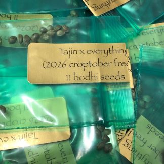 *Freebie Listing* Tajin x Everything