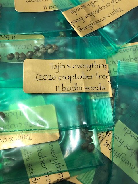 *Freebie Listing* Tajin x Everything